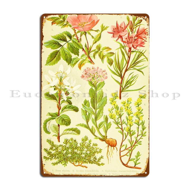 Hd Vintage Flowery Bouquet Des - Home Cinema Wall Design recensione e prezzo