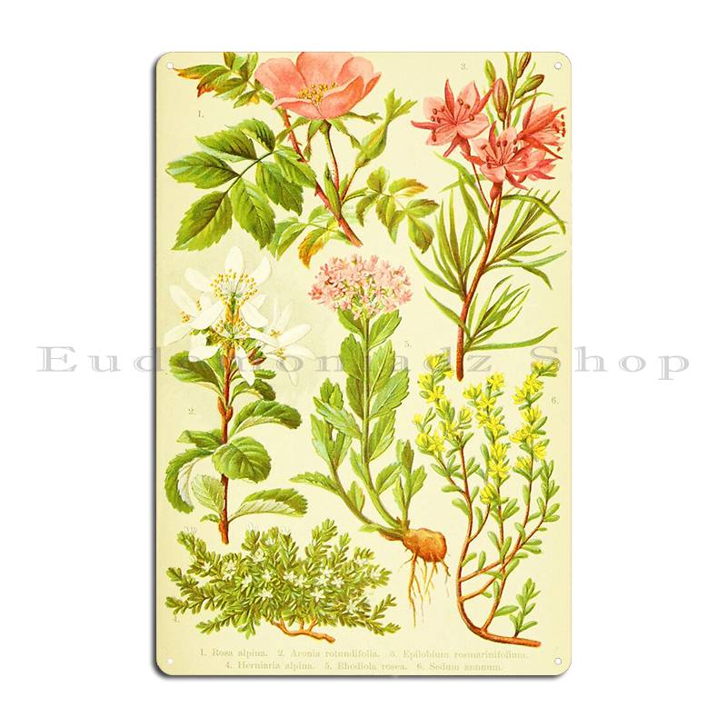 Hd Vintage Flowery Bouquet Des - Home Cinema Wall Design recensione e prezzo