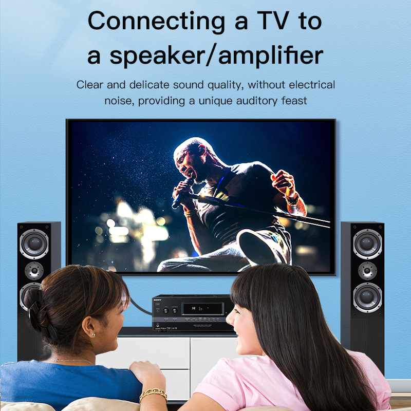 CHOSEAL Cavo RCA Digitale Coas - Home Cinema Hall recensione e prezzo